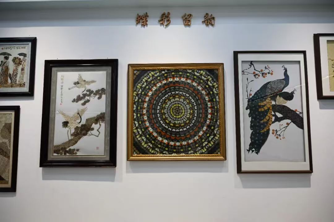 �����������齭Դ���Ϲݽ��վٰ쿪��