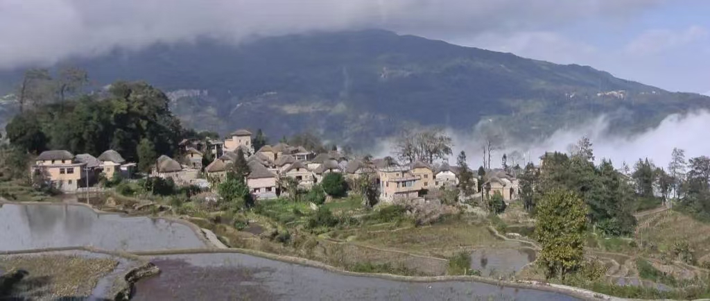 Ԫ�����߿ƣ��ٻ���ʴ�