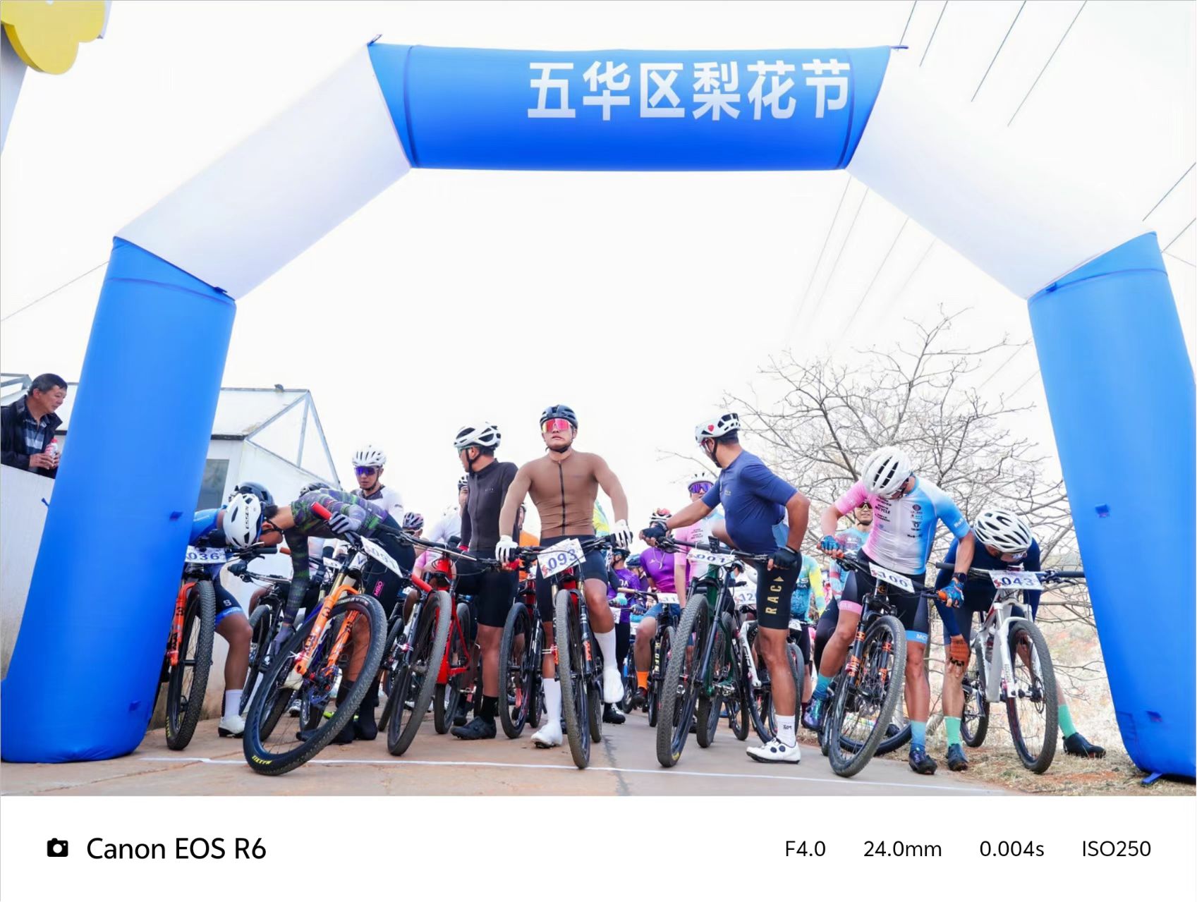 2026���������廪���滨����Ļ