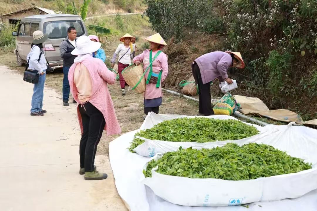 �����ٲ����£�ȫ��ȫ����봺�����