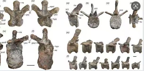 ���ϴ��������ֿ���������&mdash;&mdash;&ldquo;����