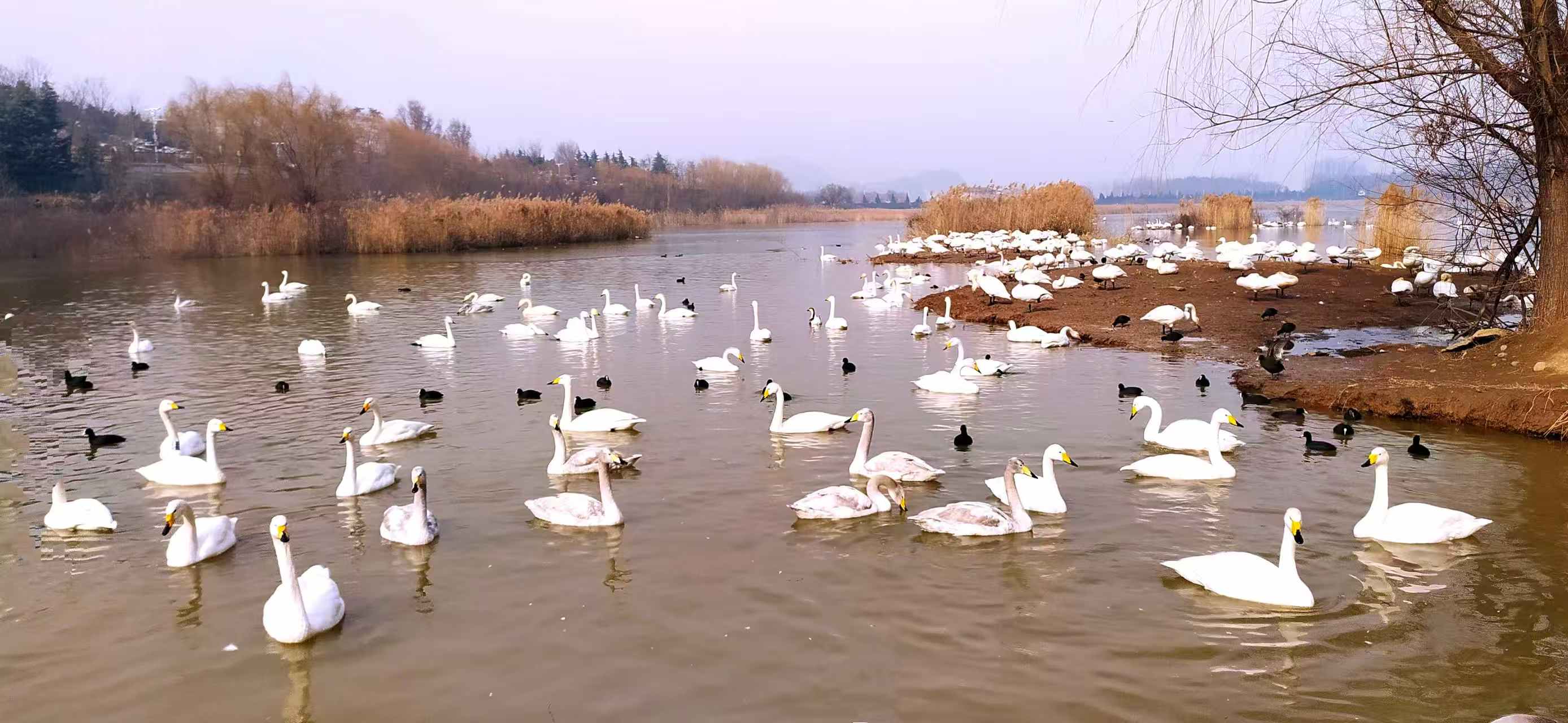 �ƺ���������Ͽ��������������һһ