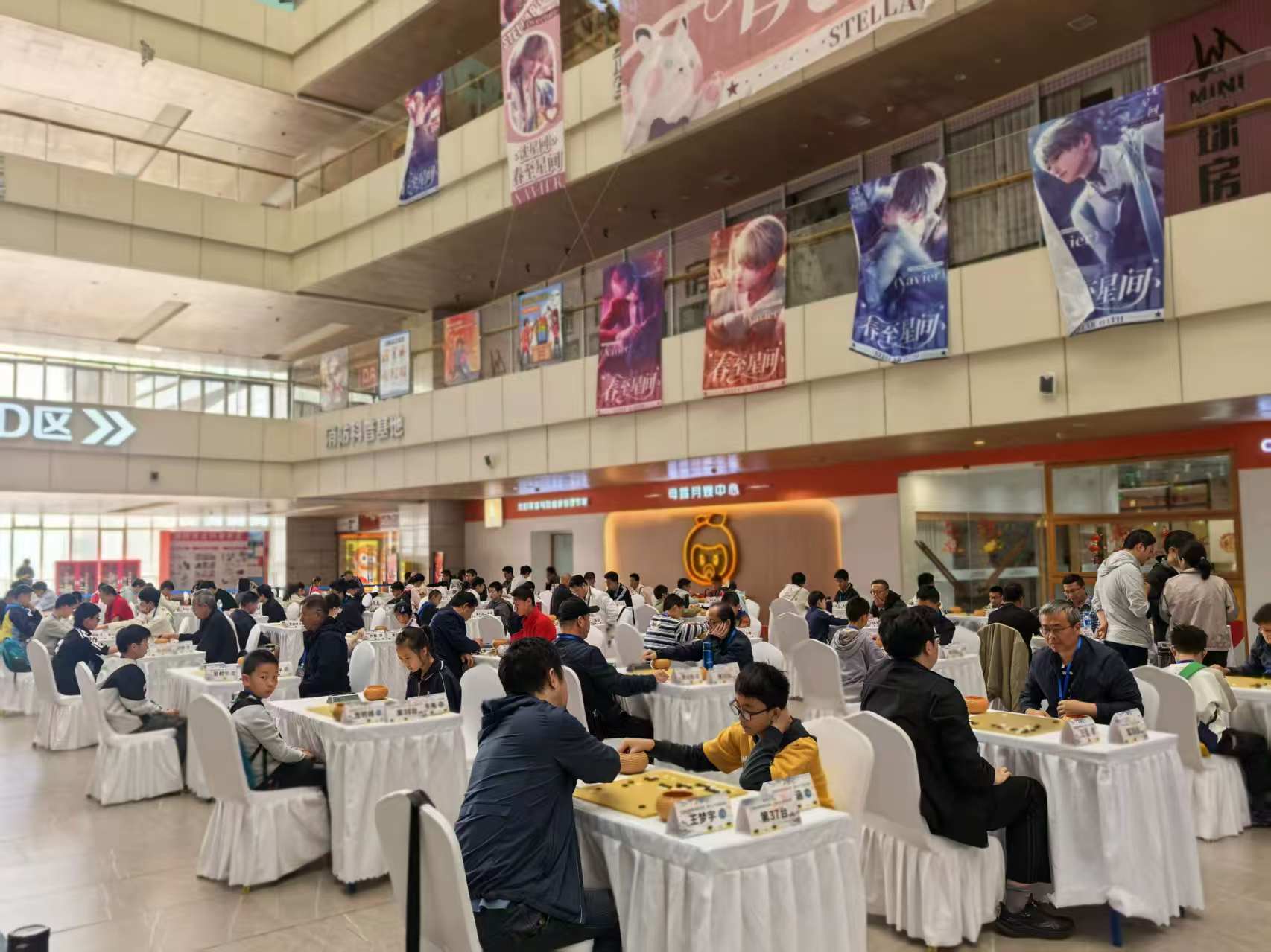 ����ʡΧ�徫Ӣ������2025���ܾ���Բ