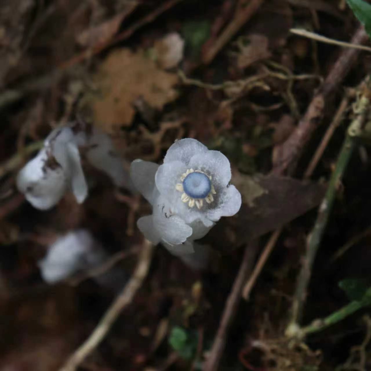 ������ɽ���������ｭʡ����Ȼ������