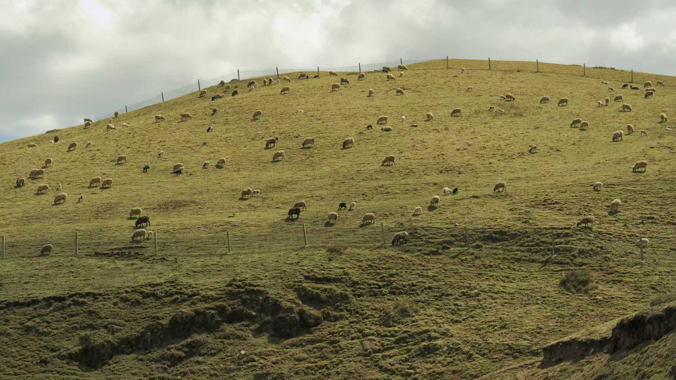 ������������ һ���س��ĵ���ҵ