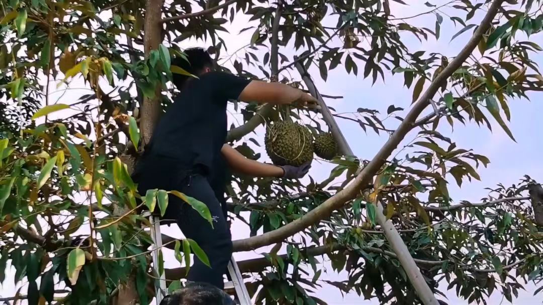 �ش�3.7�������ݱ��������ѳ���