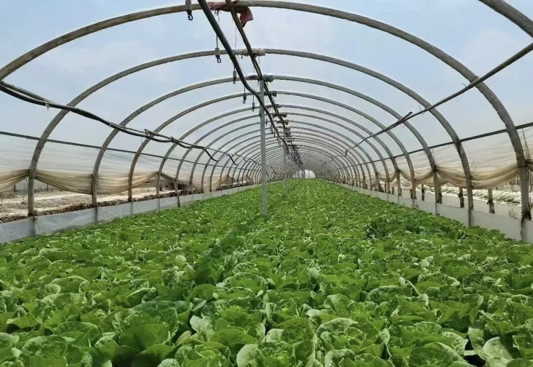 ��ˮ��֣��������࣬������&ldquo;ˮ&rdquo;ƽ