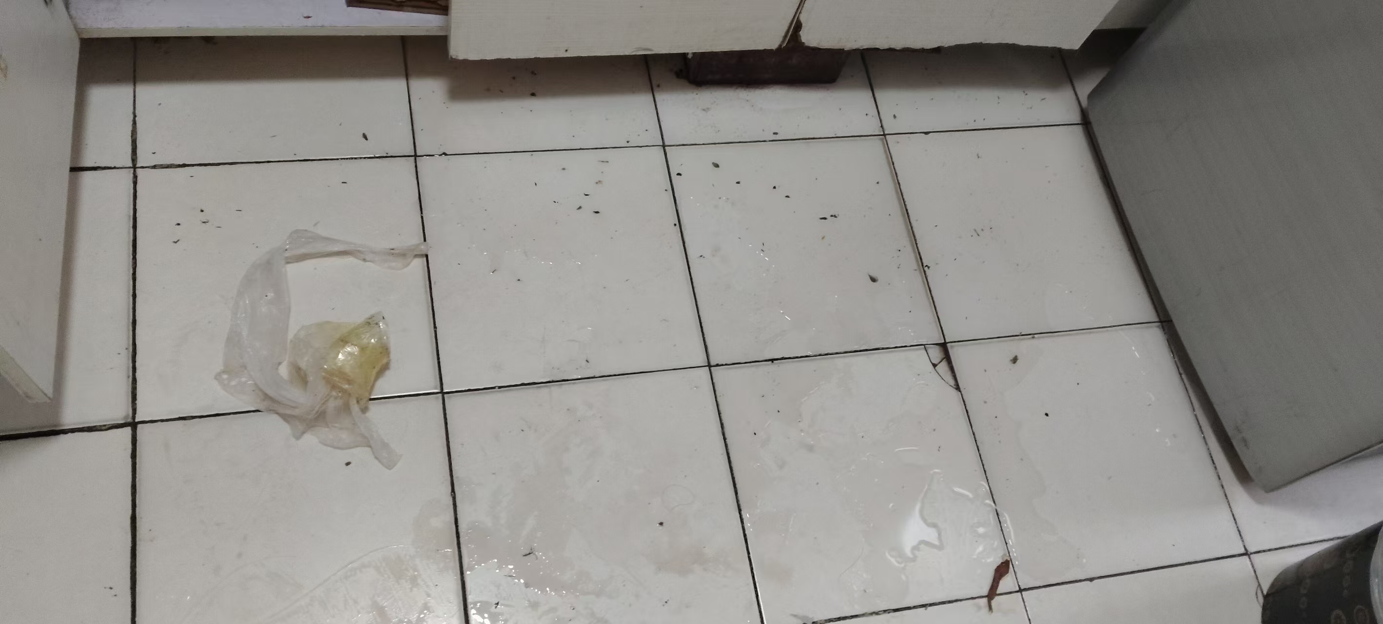 �����߶����������޴η��ܵ���ͨ&ldquo;ά