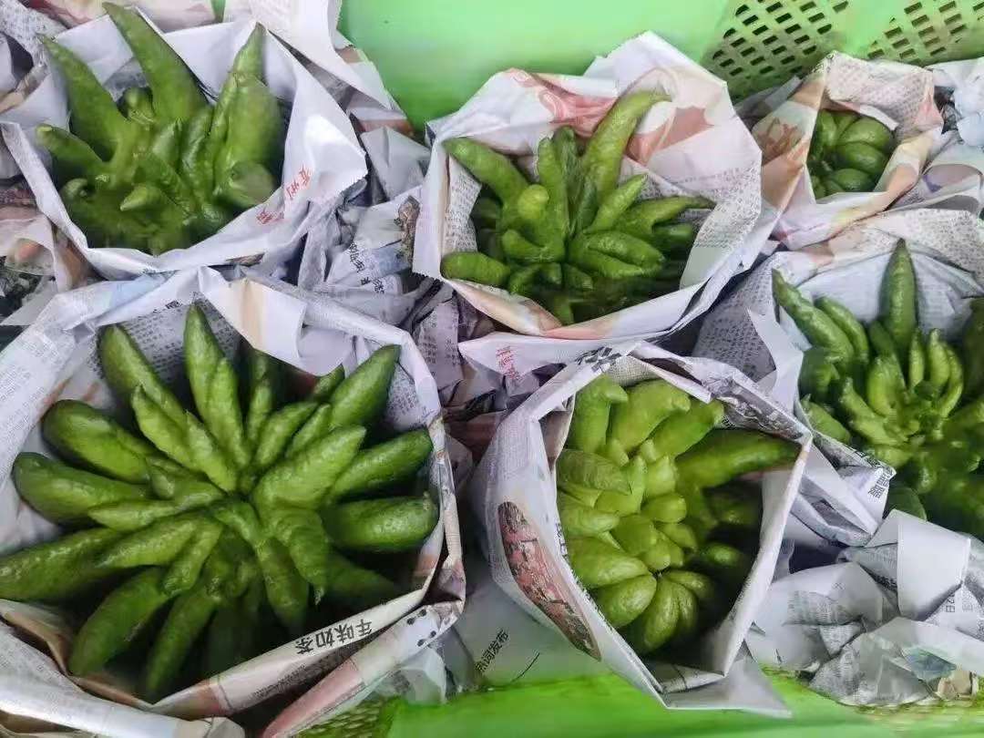 �����ٲײ�Դ��140Ķ����ӭ������
